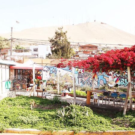 Hostel La Posada Gallo Arica Esterno foto