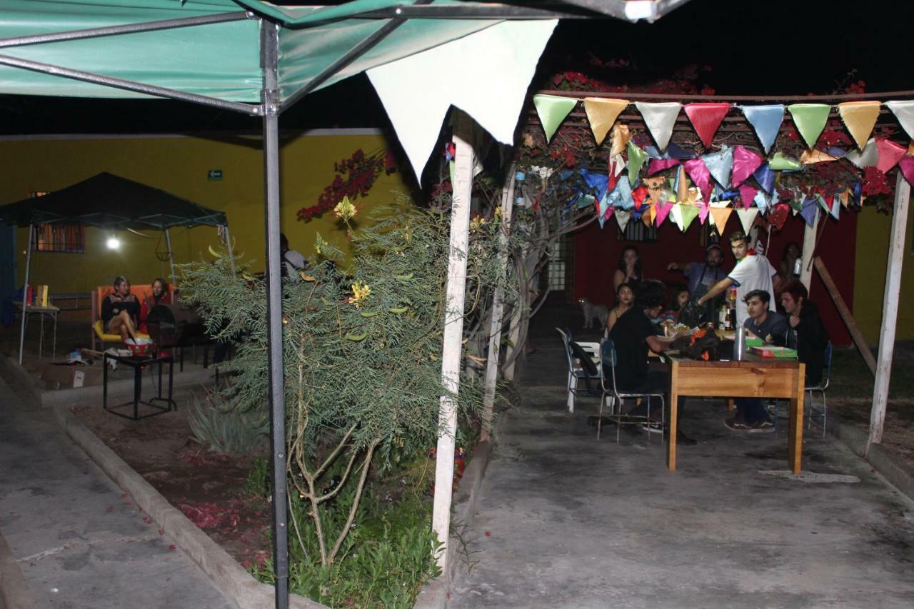 Hostel La Posada Gallo Arica Esterno foto